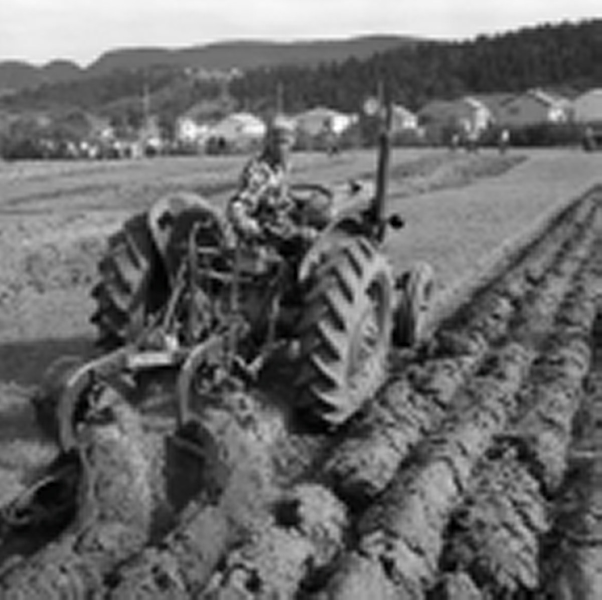 Konkurranse i pløying med traktor