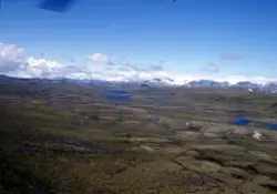 Hardangervidda  1987