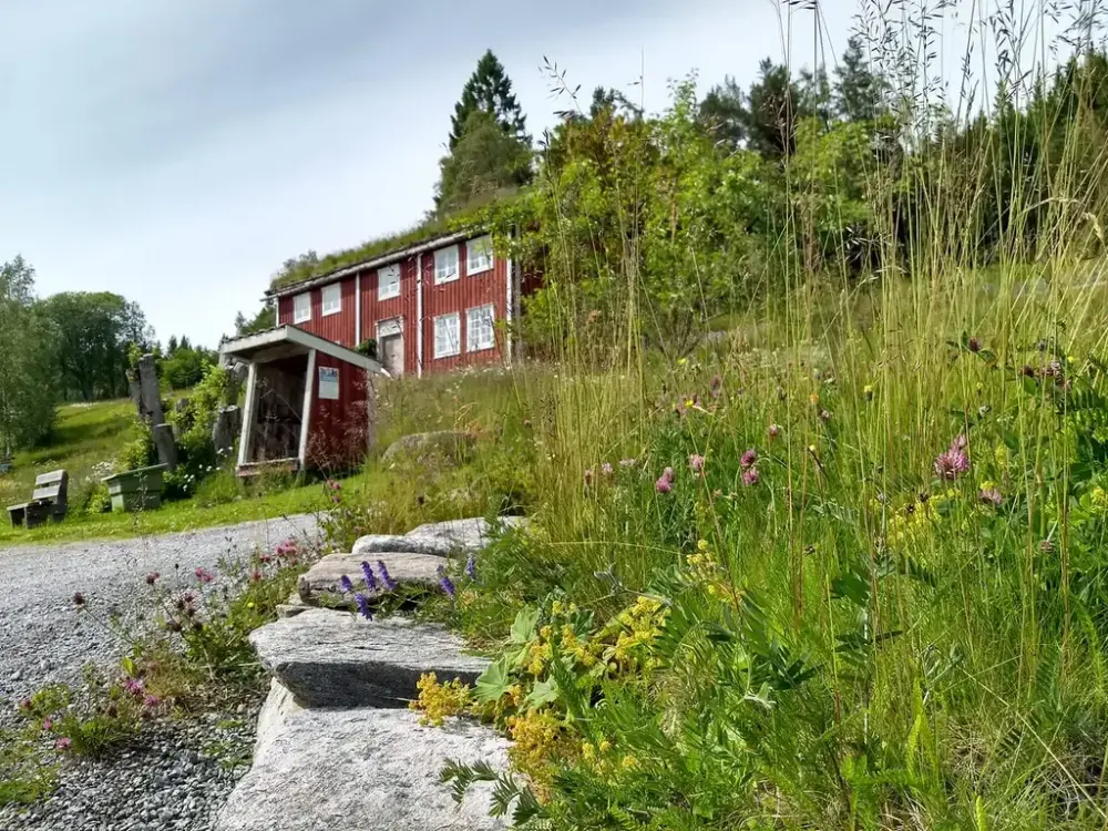 Bilde fra Tingvoll museum, uteområdet.