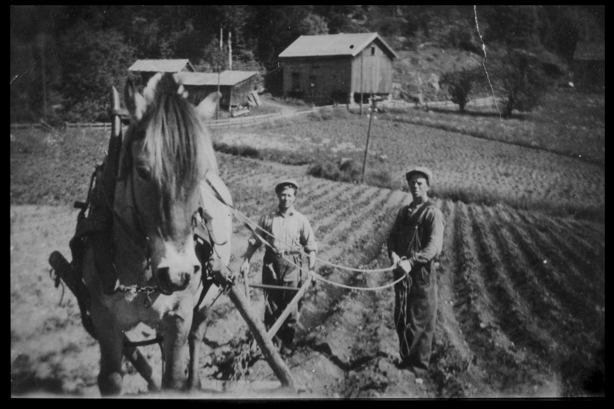Arendal Fossekompani i begynnelsen av 1900-tallet
CD merket 0469, Bilde: 28
Sted: Bøylefoss
Beskrivelse: "Jørgen i dalen" og Leonard Hushovd pløier med hest
