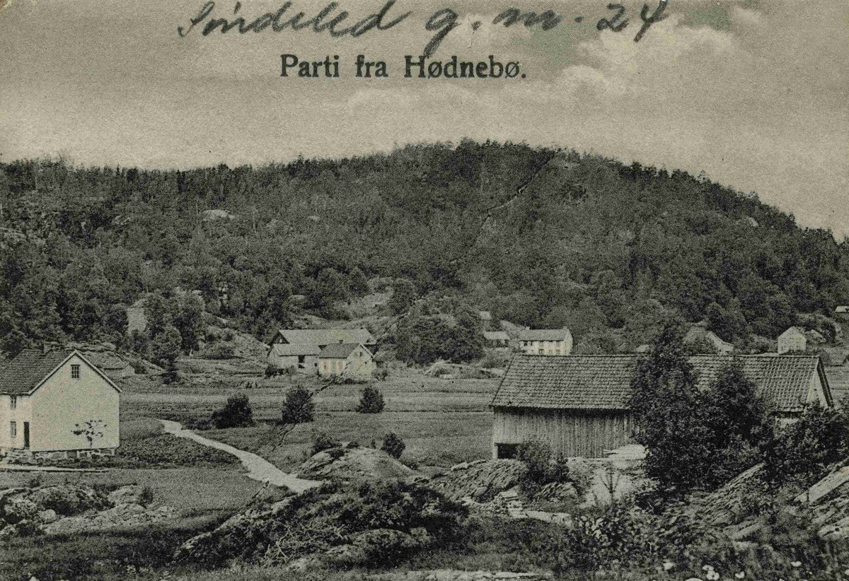 Hødnebø- G.nr. 24