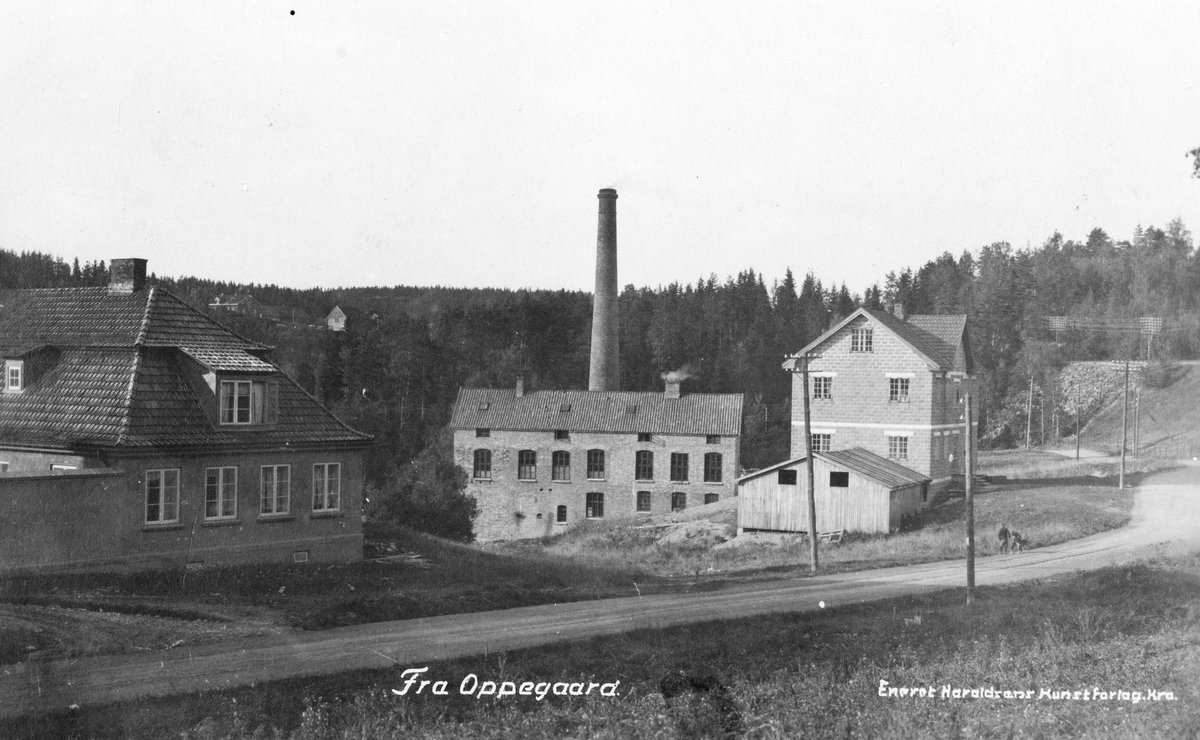 Oppegård Trævarefabrik, eier Ansteen Hokholt