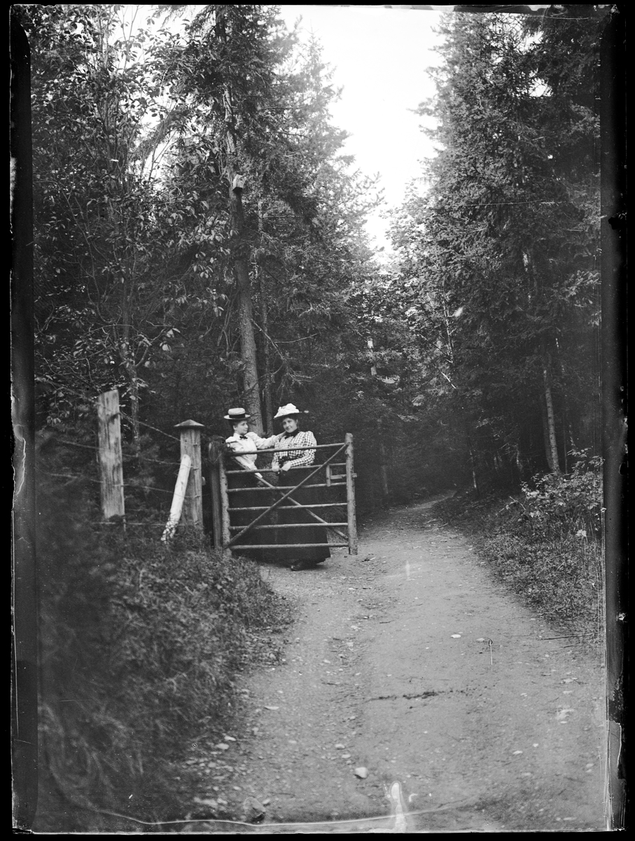 To kvinner ved en port i skogen.