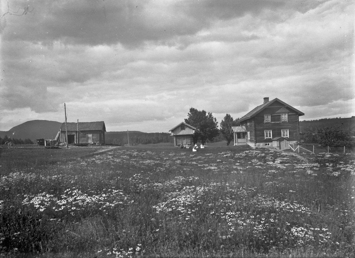Gårdsbruk med tømmerbygninger
12.04.2013:
Bildet er fa Blakkisrud i Eidsvoll. Fotografering før 1925.
Skrevet av: Trond Gundersen