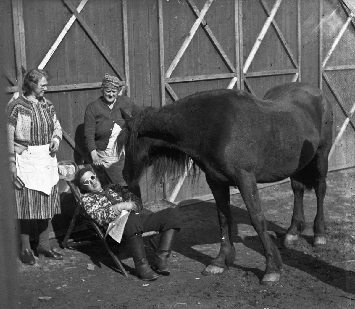 Hest og 3 kvinner