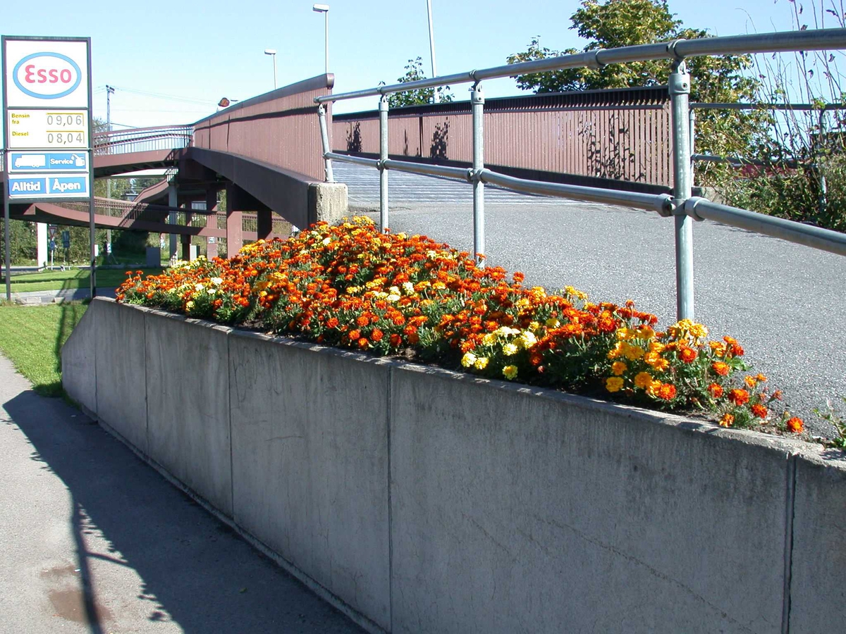 Blomsterbed ved siden av gang-og sykkelbroen i Solheimkrysset
Fotovinkel: N
