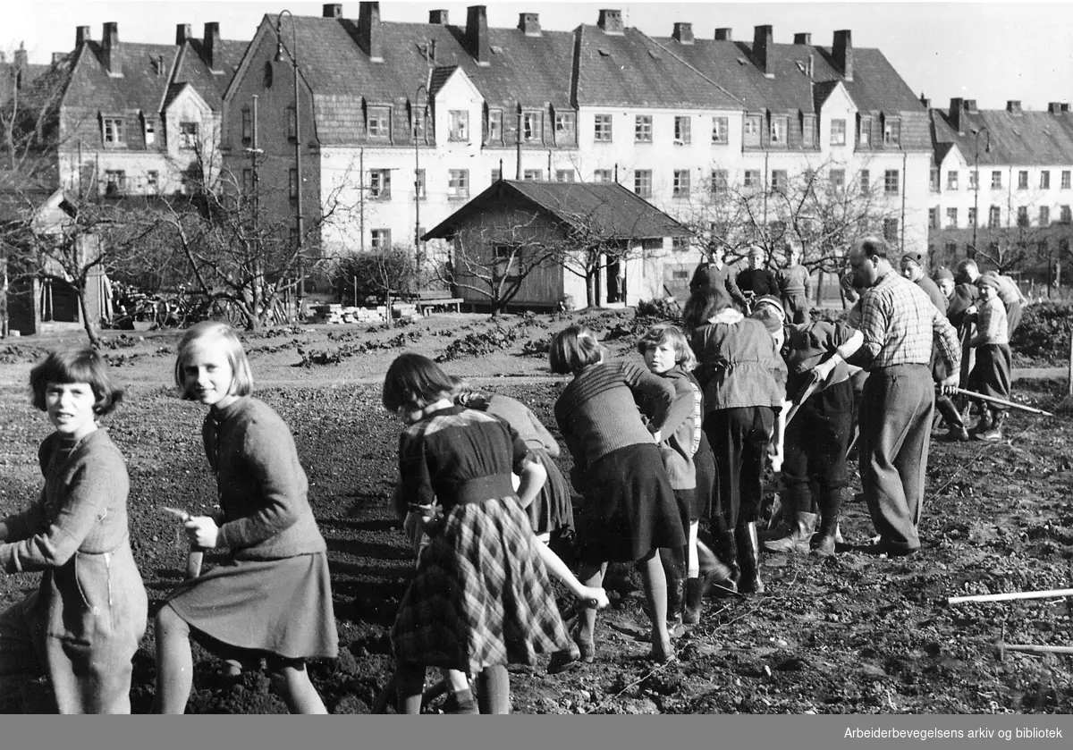 Skolehagen på Geitmyra,.ca. 1950