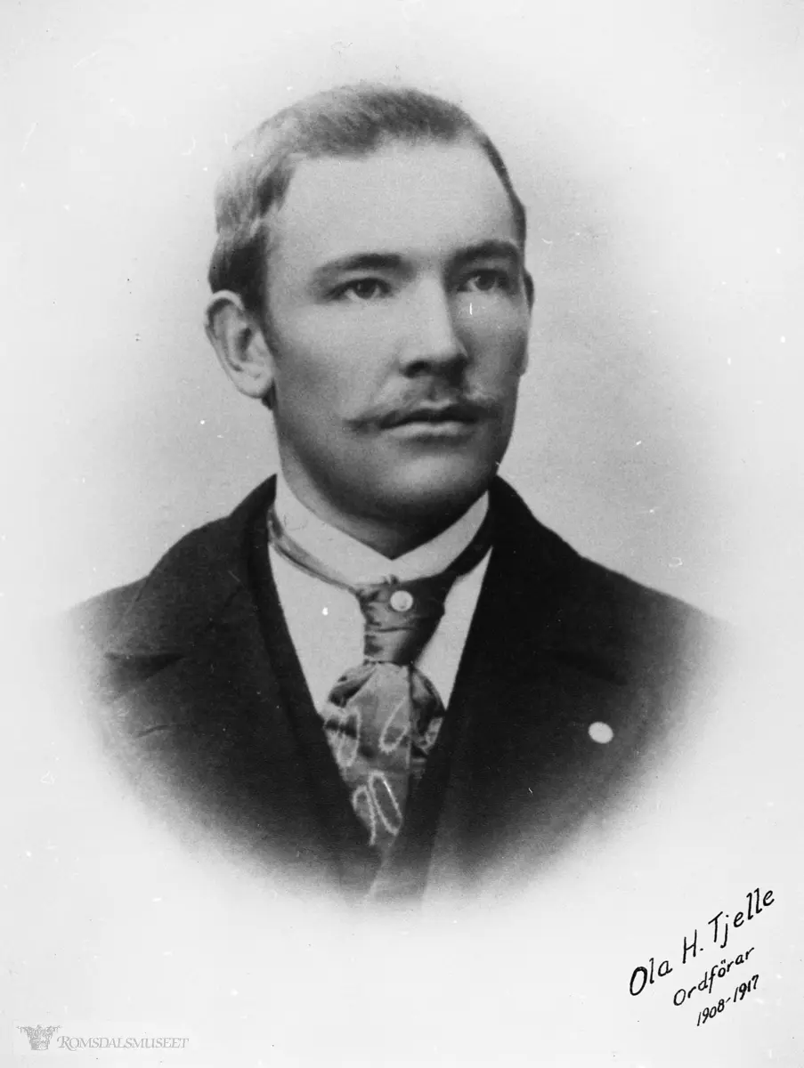 Ordfører fra 1908-1917 .Ordfører i Nesset.