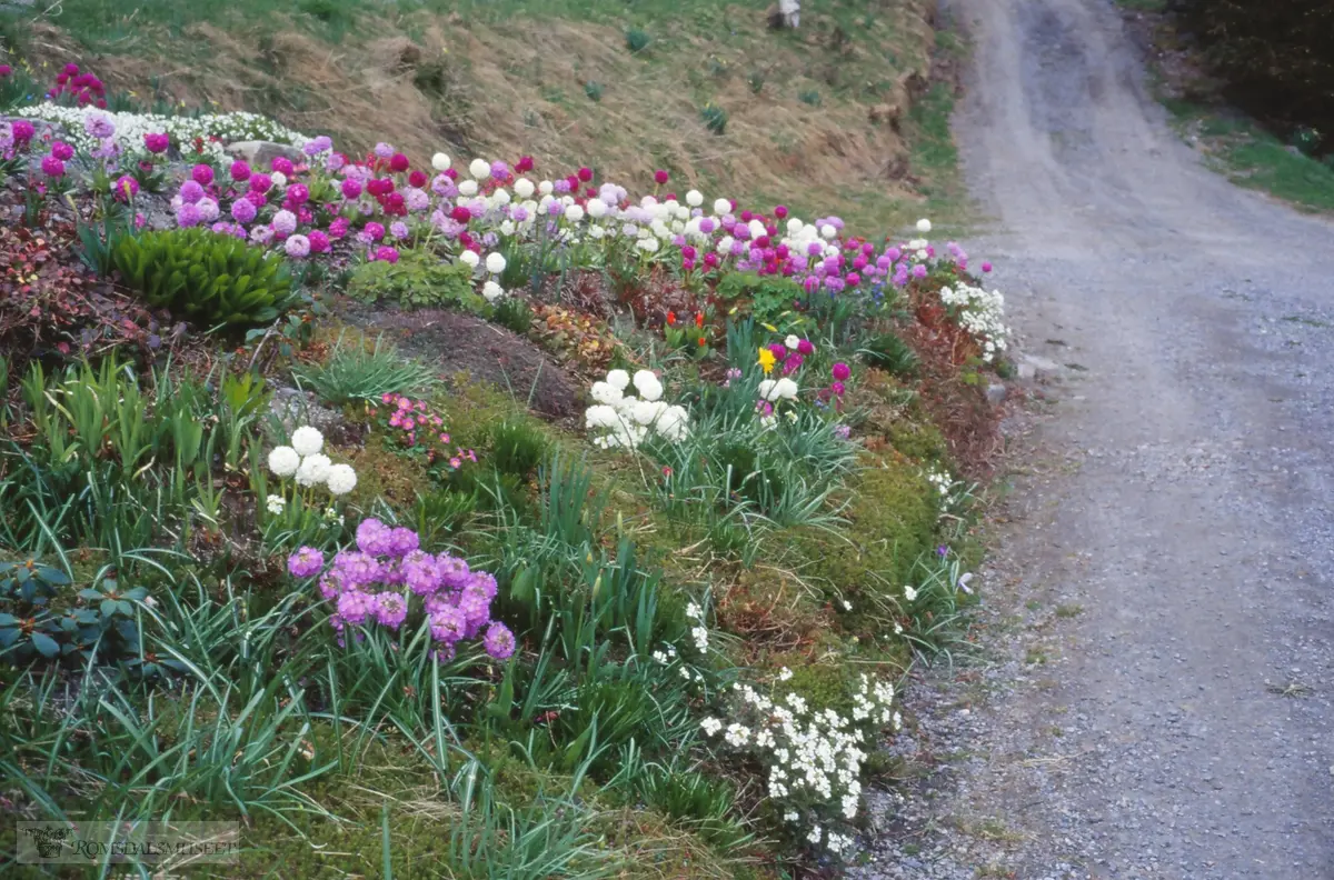 Fototur, Blomster på Klauset