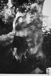 Parti frå Eidsvåg, Vollahaugen..Bildet er tatt ved den store