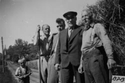 Slåttonn på Vollahaugen. ....