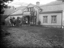 Humle ved inngangen, ..Se også bilde nr 003, 030 og 129.