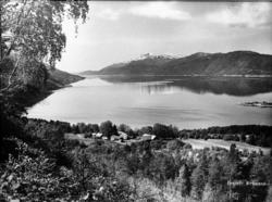 Nesset prestegård med Langfjorden i panorama.