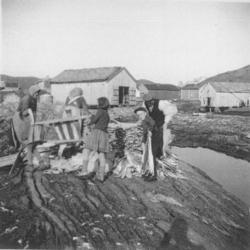 Klippfiskarbeidere...."Tyske bilder".(Bilder tatt av tyske s