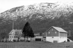 .(Bilder brukt i "Gards- og ættesoge for Nesset").