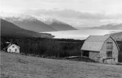 (Bilder brukt i "Gards- og ættesoge for Nesset").