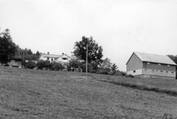 .(Bilder brukt i "Gards- og ættesoge for Nesset").