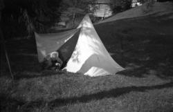 "nr 46. Fra Vistdalen". .(eske EH001)