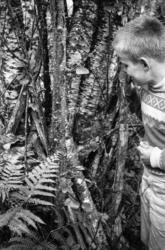 "Jonsok-kveld 1964, Hyttetur".