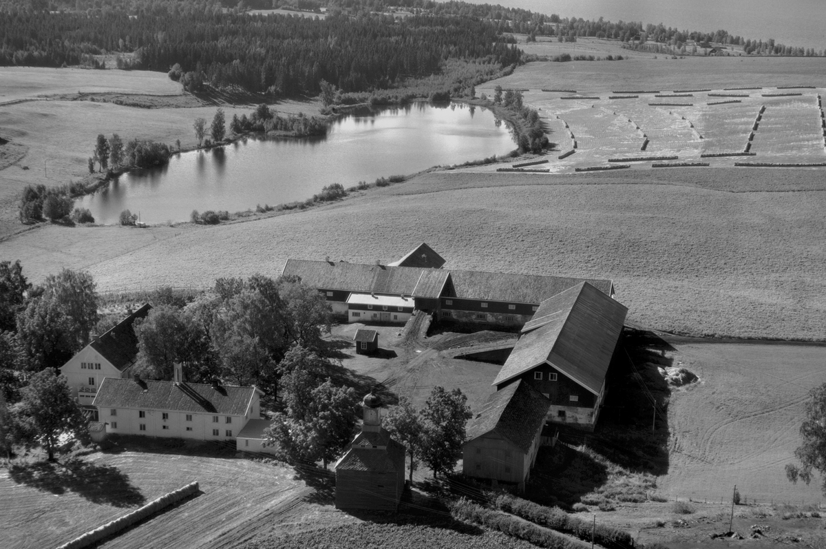 Flyfoto av Tjerne gard, Gaupen, Ringsaker.