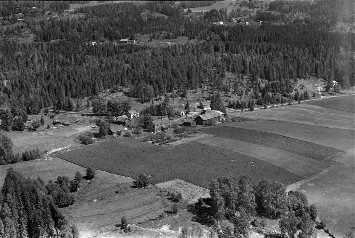 Flyfoto av gard, trolig Hauknes, Brøttum, Ringsaker.