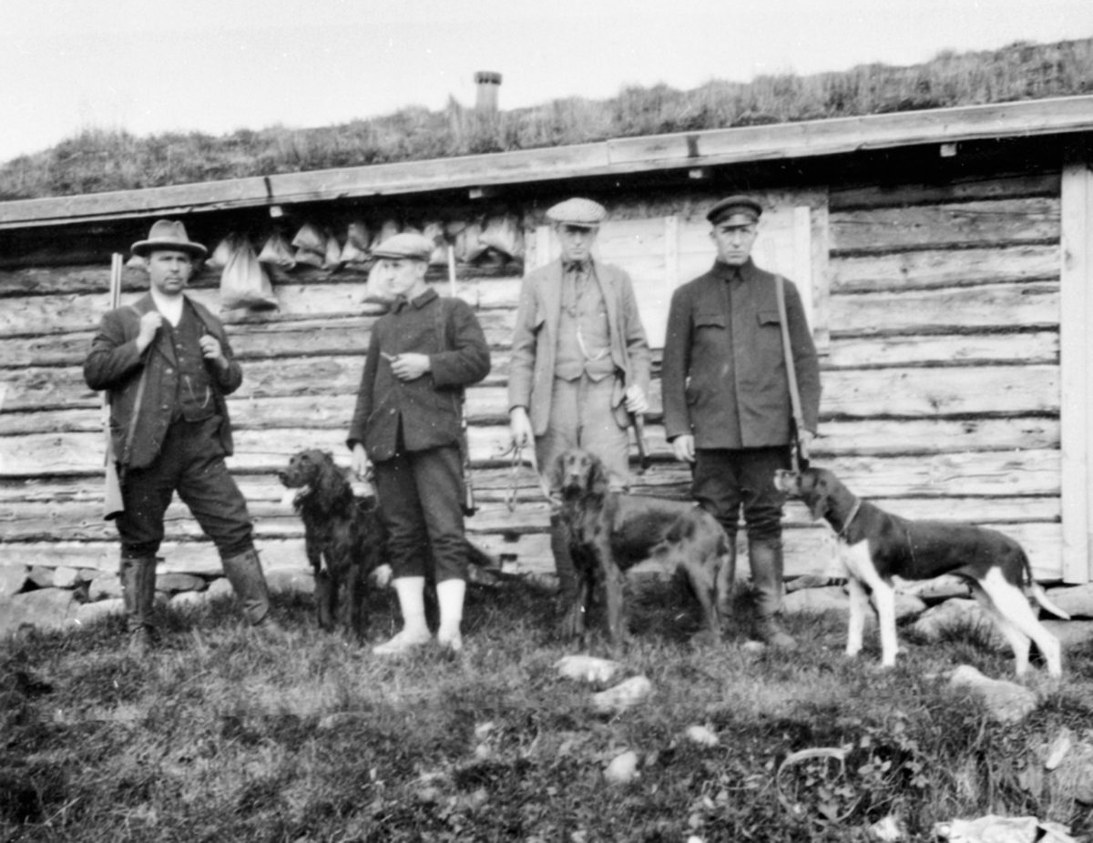 4 menn med gevær og fuglehunder. Jaktlag i Løvlia, Ringsakerfjellet.