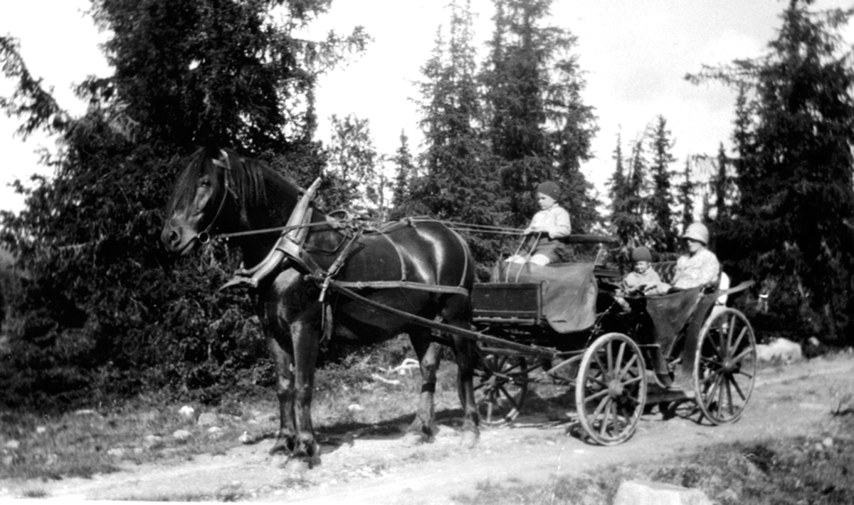 Hest med vogn (trille) på Olshølen i Ringsaker Almenning. Helmer Husebye er kusk. Solveig Husebye og barnepike Klara Sveen (Dadda) sitter i vogna.