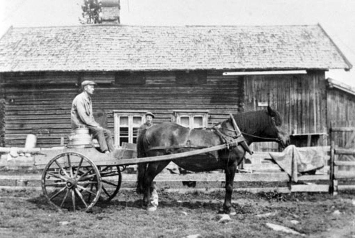 Eksteriør. Aursmoen seter i Ringsaker Almenning. Einar Linnerud (1899-1969) kjører melk med hest og vogn. Ousdal nedre sin seter.