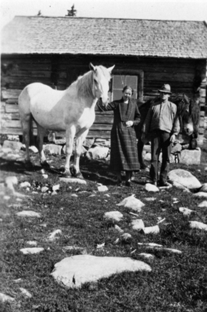 Mann og dame holder hver sin hest foran størhuset på Øyungen seter, Ringsaker. Navn på hestene "Bamsen" og "Bron"