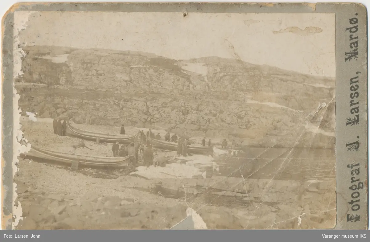 Hvithvalfangst i Russevika, Vardø, 1900