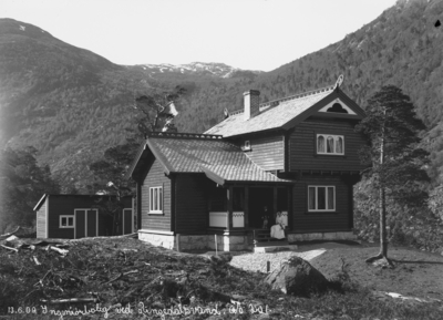Villaen i Skjeggedal