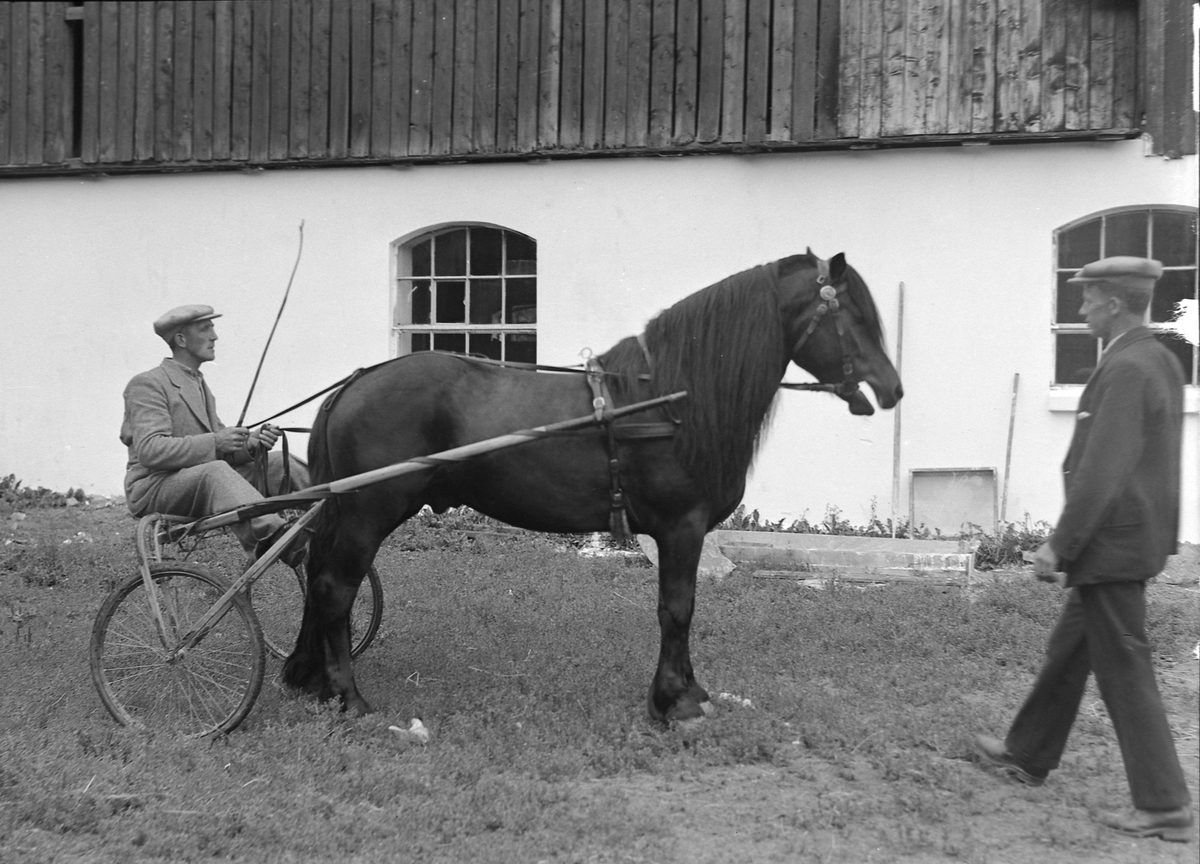 P.O. Husby med hest og sulky på Leangen