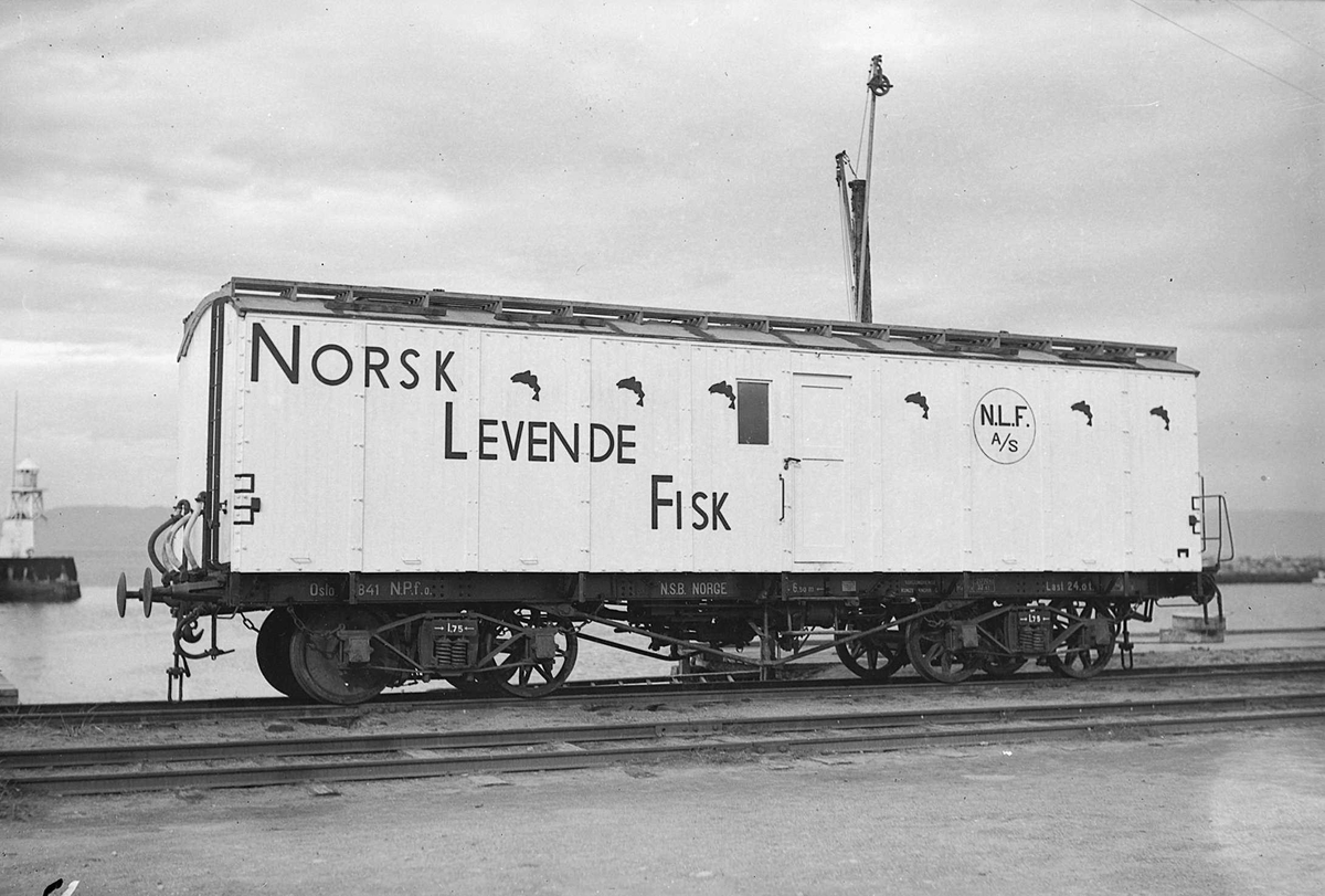Jernbanevogner fra Norsk Levendefisk