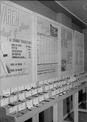 Såvareutstillingen i Bondeheimen