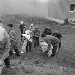 Brann i Rådmann Hammers vei