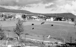 "Fra Krokhaugen, Foldalen"