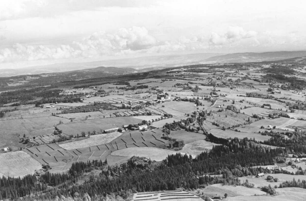 Widerøe: Vardal: Ålstad gård 1951