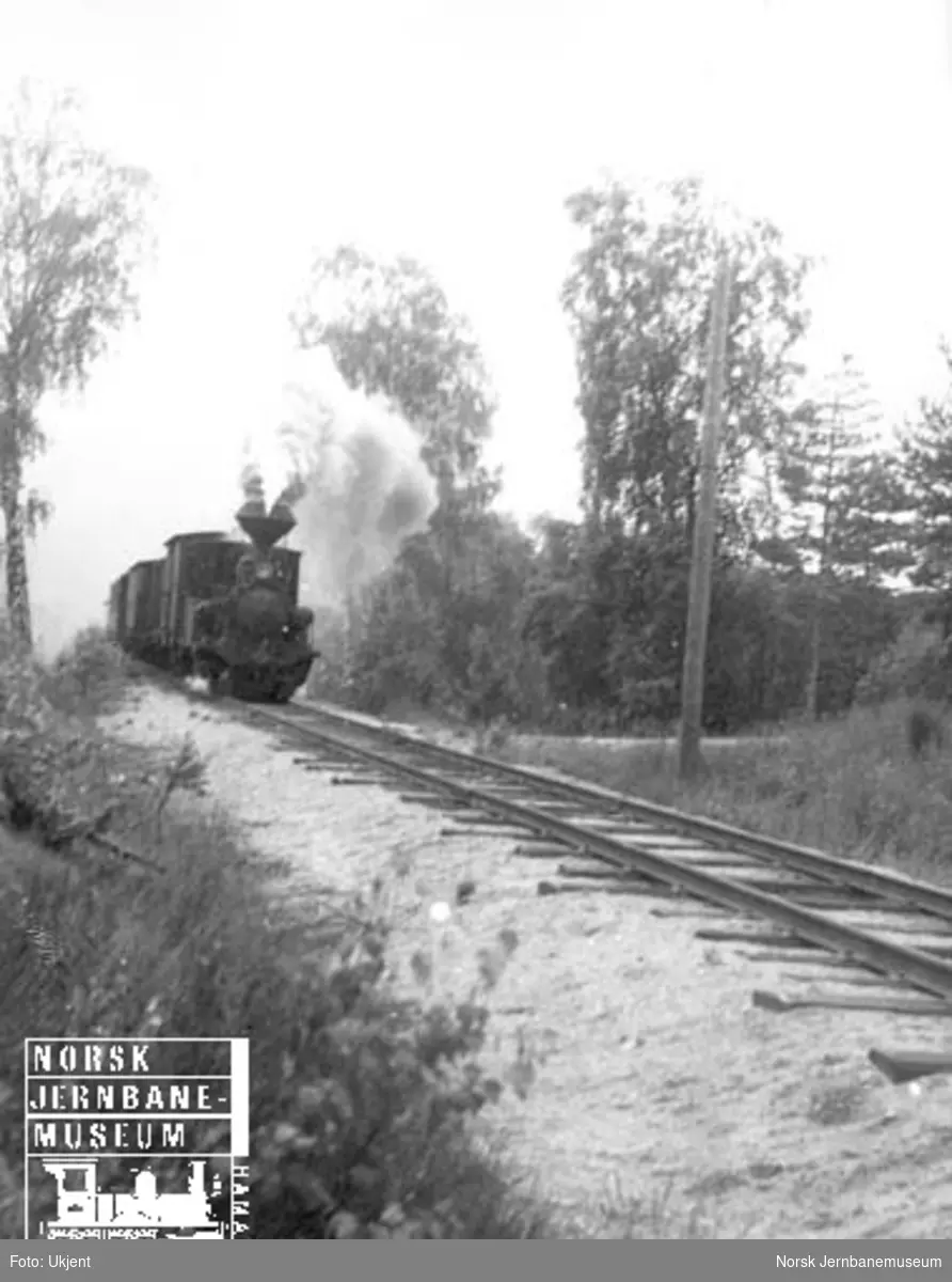 Damplokomotiv med godstog mellom Hornnes og Evje stasjoner