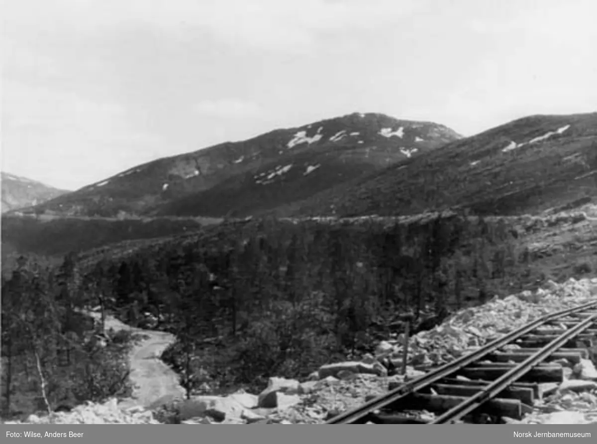 Nordlandsbaneanlegget : linjen sydover ved Ankermo