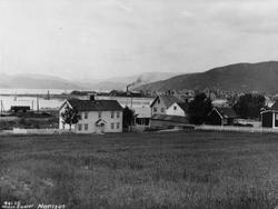 Solvang med Namsos sentrum i bakgrunnen, Nord-Trøndelag, 193