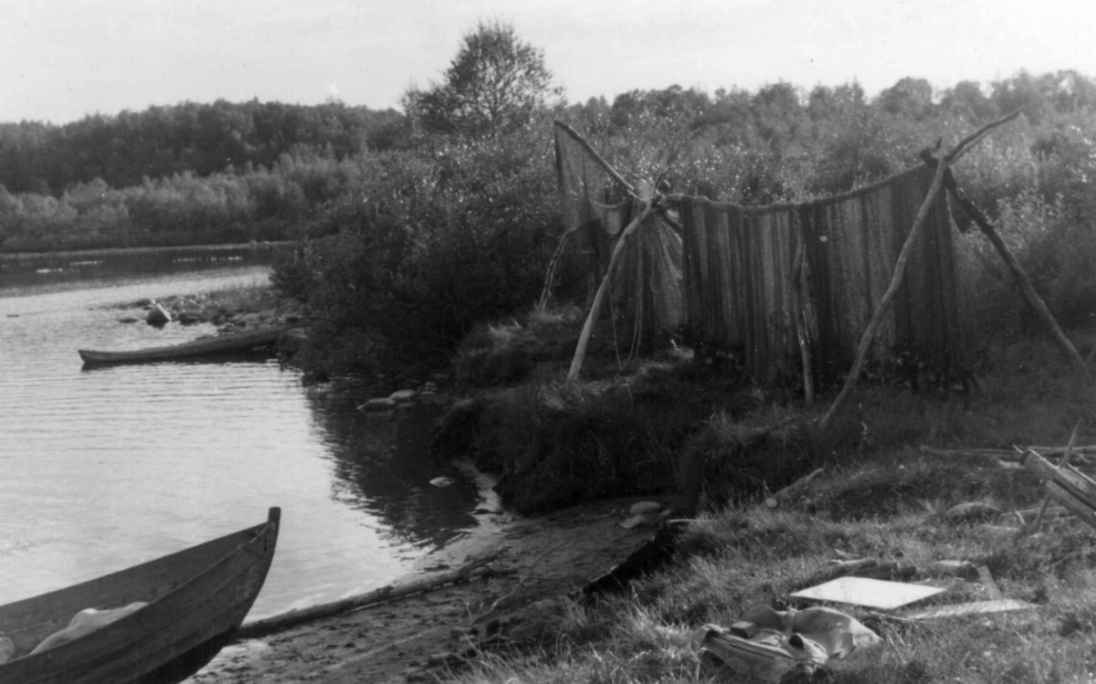 Garnheng med fiskegarn til tørk. Mathis P. Buljos gård Storneset. Hemmugiedde. 1953.