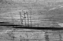 Detalj med runer fra høyre portplanke på Gol Stavkirke, som 