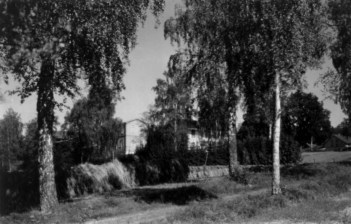Vikersund (?), Modum, Buskerud. Hesjer. Trær. I bakgrunnen bebyggelse.