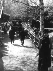 Vognparaden 21. mai 1978. Char - à - banc med Guldfisken Hor