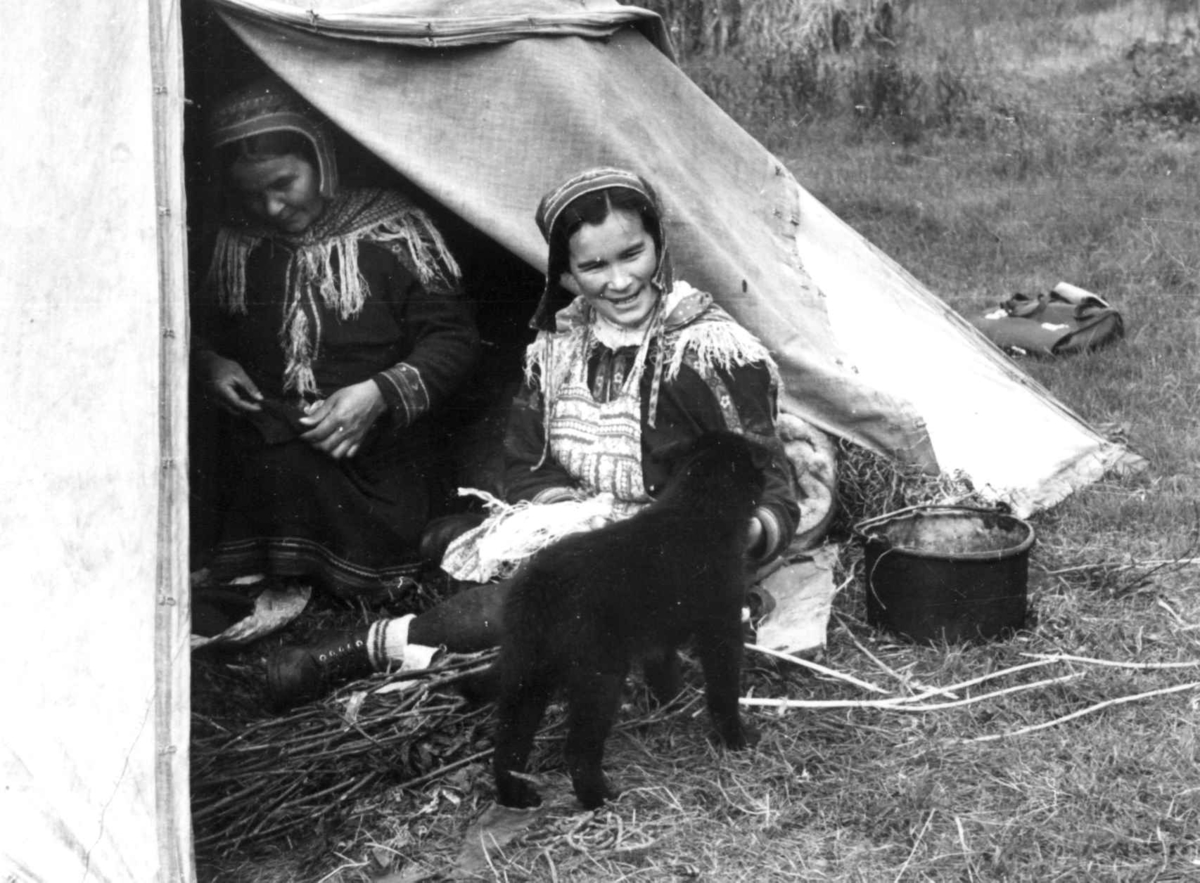 To kvinner i teltåpningen arbeider med skinn og senetråd, en hundehvalp i forgrunnen. Olderdalen, Kåfjord, Troms 1947.