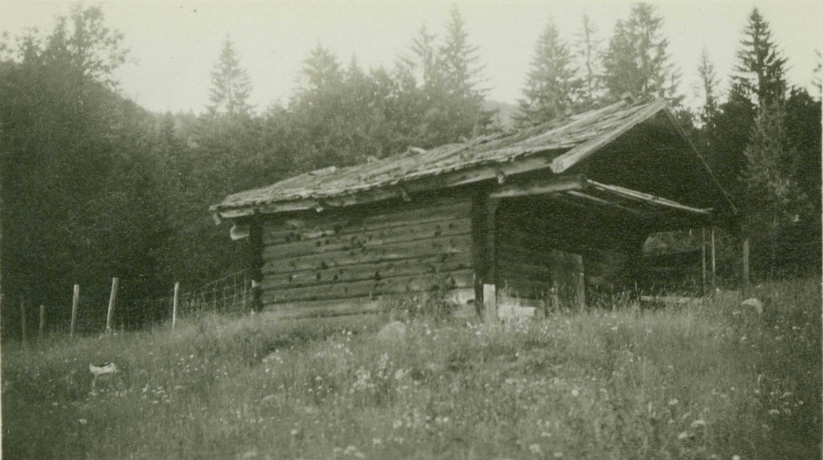 Badstue, Rollag prestegård, Rollag, Buskerud. Fotografet 1929.