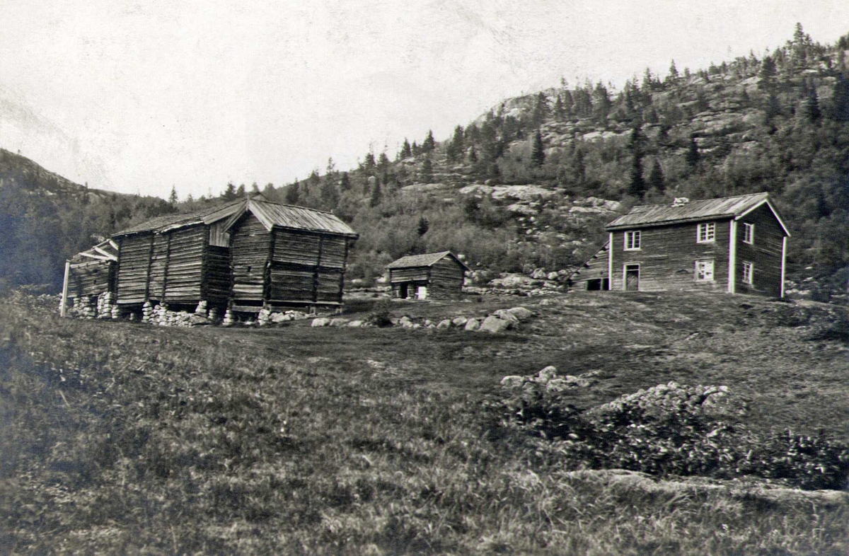 Gårdstun, Jordal, Fyresdal, Telemark. Fotografert 1921.