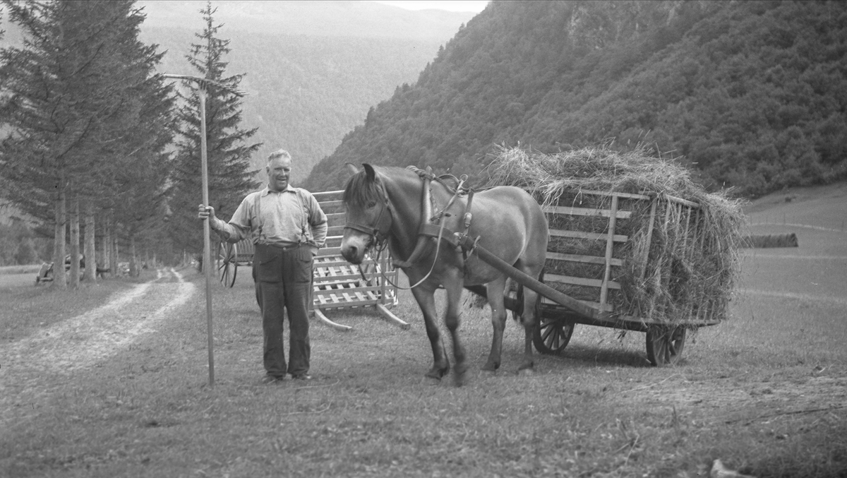 Mann med hest og høykjerre, Hjellmoen, Sunndal, Møre og Romsdal. Fotografert 1937.