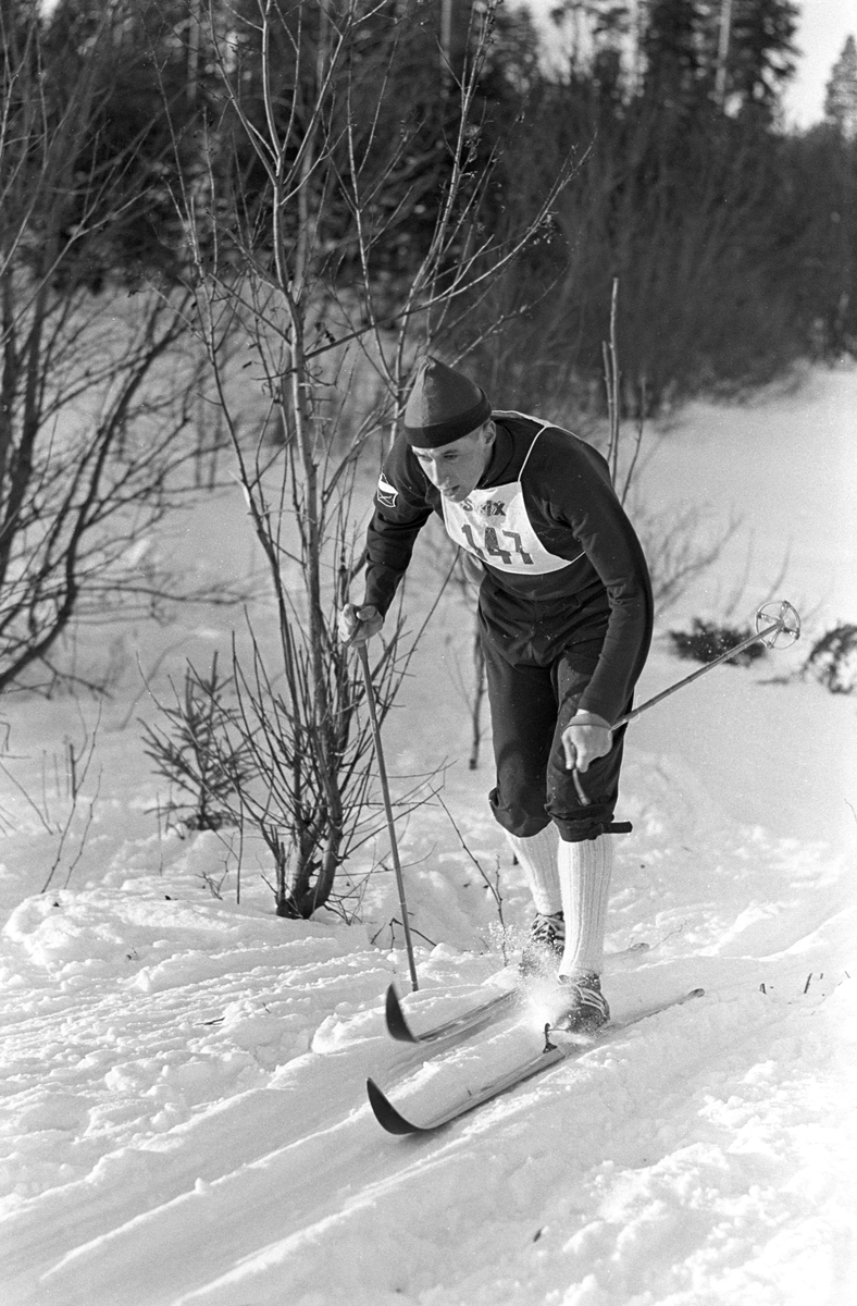 Skiløper med startnummer 147 i sporet under NM i langrenn for juniorer på Eidsvoll 1963.