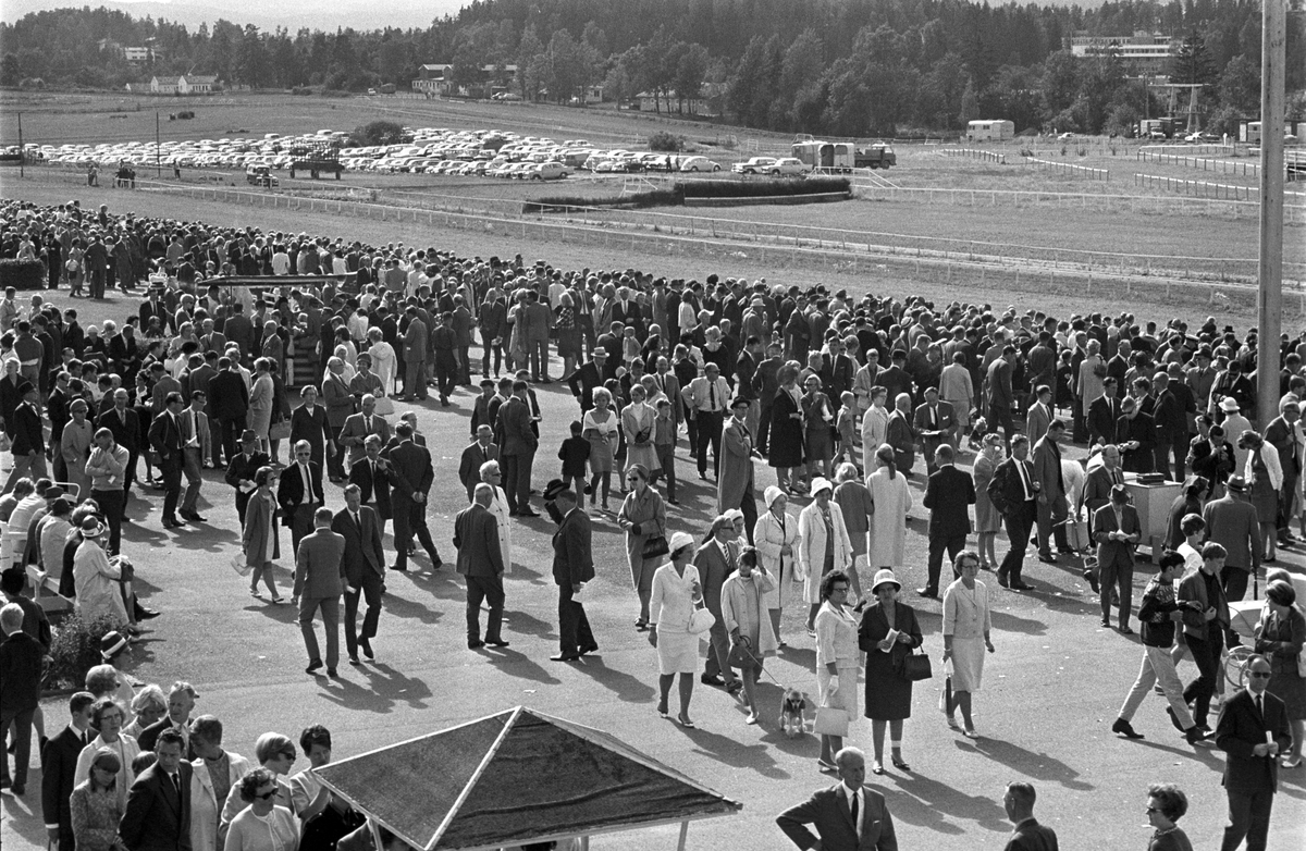 Norsk Derby på Øvrevoll galoppbane i Bærum 20. august 1967. Oversiktsbilde over banen.